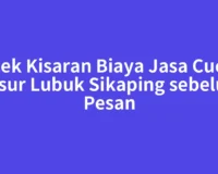 Cek Kisaran Biaya Jasa Cuci Kasur Lubuk Sikaping sebelum Pesan