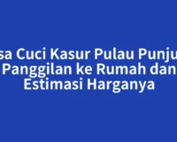 Jasa Cuci Kasur Pulau Punjung Panggilan ke Rumah dan Estimasi Harganya