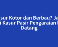 Kasur Kotor dan Berbau? Jasa Cuci Kasur Pasir Pengaraian Bisa Datang